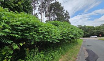Uplander Street NW, Andover, MN 55304