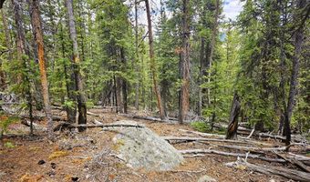PCS # 10594 Looney Lane lot 0, Alma, CO 80420