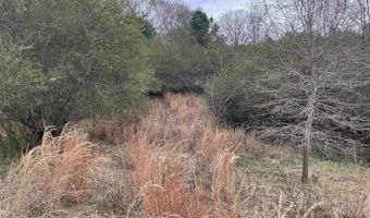 34655 Co Rd 49, Beaverton, AL 35544