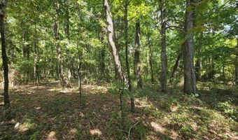 00 Honeysuckle Rd, Bald Knob, AR 72010