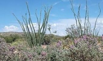 3644 W VISTA DEL VIEJO, Bisbee, AZ 85603