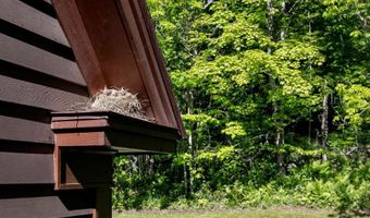 1586 Bent Hill Rd, Braintree, VT 05060