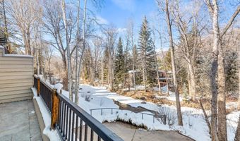 990 E Hopkins Ave, Aspen, CO 81611