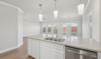 1033 Nighthawk Trl, Alvarado, TX 76009