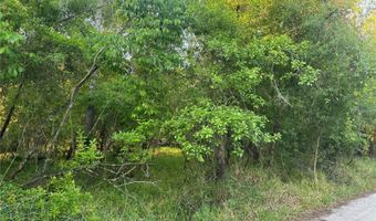 1297 NE RIVER RAFT Dr, Arcadia, FL 34266