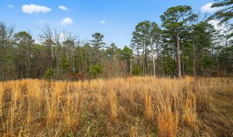 868 County Road 2920, Alba, TX 75410
