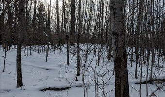 N County Highway W lot 0, Winter, WI 54896