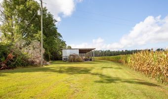 596 Teakwood Rd, Alma, GA 31510