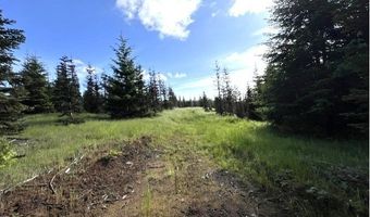 NW LODGE Rd, Banks, OR 97106
