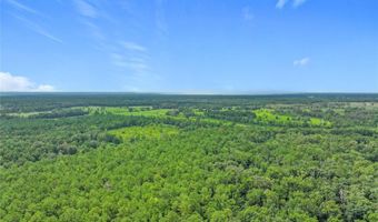 16303 SW 75TH St, Archer, FL 32618