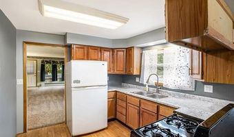 16568 28 Mile Rd, Albion, MI 49224