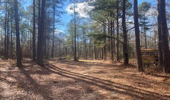 3481 County Rd 81, Abbeville, AL 36310