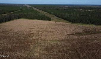 N Sr 71, Altha, FL 32421