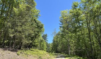 TALLMAN HOLLOW ROAD, Montoursville, PA 17754