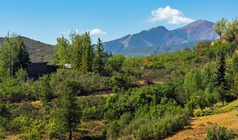90 Sagebrush Ln, Aspen, CO 81611