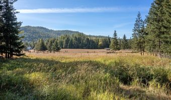 2376 Little Blacktail Rd, Careywood, ID 83809