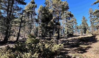 Lot 51 Via de Maria, Angel Fire, NM 87710