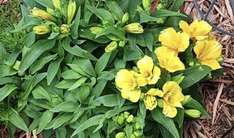 2137 S 5th Ave, Alpena, MI 49707