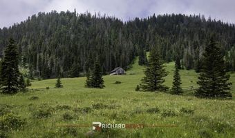 71 Painter Rd, Cody, WY 82414