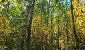 Birchwood Heights 2nd Addition lot 17, Bottineau, ND 58318