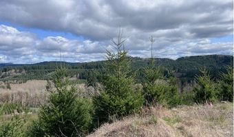 Northrup Creek RD, Birkenfeld, OR 97016