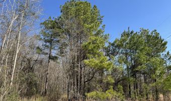 01 Bar M Farm, Andalusia, AL 36421