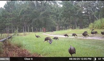 644 Ash-harrel Loop, Abbeville, GA 31001