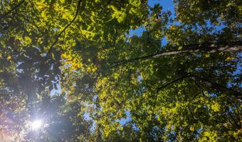 County Road 204, Alton, MO 65606