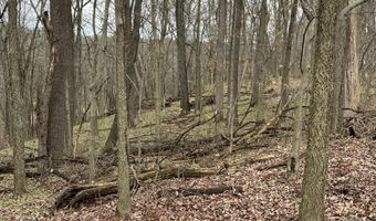 V/L Marshall Street, Allegan, MI 49010
