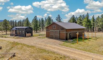 25 Jarosa Creek Rd, Angel Fire, NM 87110