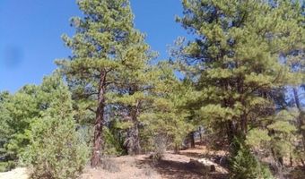 1430 W Elk Ridge Dr, Alton, UT 84710