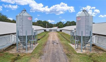 11695 E Old Belleville Rd, Belleville, AR 72824