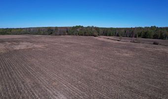53 86 Acres-TBD Pate Rd, Bishopville, SC 29010