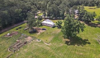 3350 SE Mt Pleasant Ln, Bogue Chitto, MS 39629