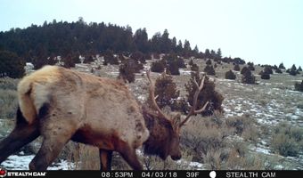 902 Lower Valley Rd, Boulder, MT 59632