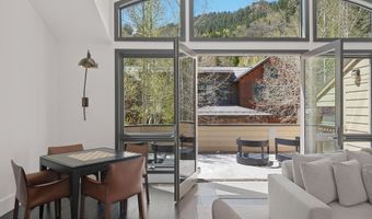 121 W Hyman Ave B, Aspen, CO 81611