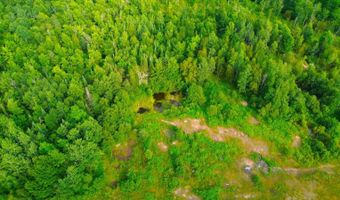 County Road Y, Aniwa, WI 54408