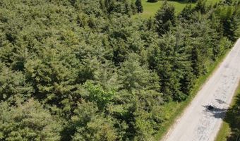 LOT 3 E WEST RESORT ROAD, Alanson, MI 49706