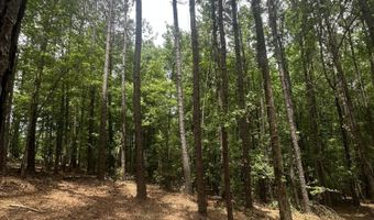 Ridge Road lot E, Appling, GA 30802