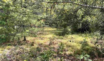 NH Route 3, Bridgewater, NH 03222