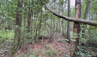 25232 Louisiana Highway 442 Lot Cdt1, Albany, LA 70711