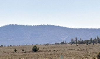 Oregon Pines Road, Beatty, OR 97621