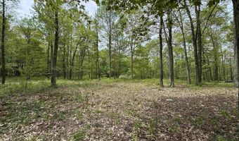 Lot 29 Oak Drive, Albright, WV 26519