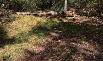 Orchard Hill RD, Beaver, WV 25813