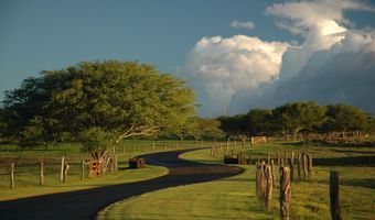 56-175 PUALANI Rd, Hawi, HI 96719