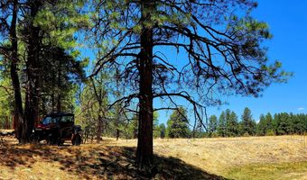 Tbd STONE CREEK RD CR 2117, Alpine, AZ 85920