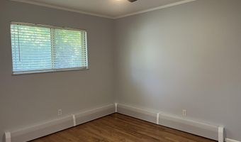 913 Evelyn Ct, Ann Arbor, MI 48103