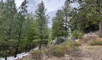 Tbd Hilltop Road 43 & 44, Cascade, ID 83611