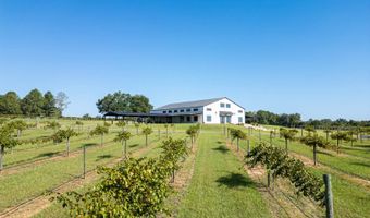 207 Wolf Creek Dr, Americus, GA 31719