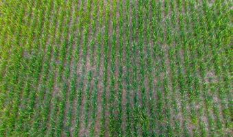 TBD W 20th St S, Argonia, KS 67004